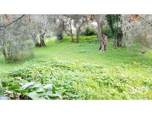 Vente Terrain 1 800 m²