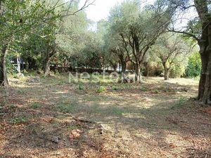 Terrain à bâtir Grasse 846 m2  beau secteur de Saint Antoine