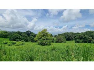 RIVIERE PILOTE : 16 parcelles de 500 m² en vente  Martinique