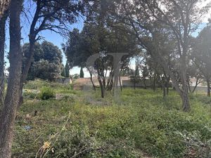 Achat Terrain 650m² CHATEAUNEUF DU PAPE 84230