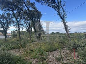 Achat Terrain 650m² CHATEAUNEUF DU PAPE 84230