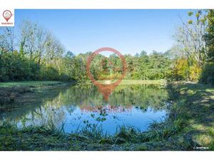 Vente terrain 9062 m² Oizon (18700)