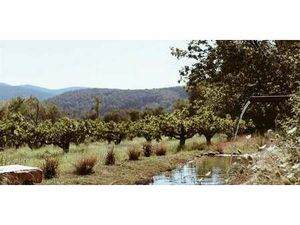 Château Sollies-pont (83)