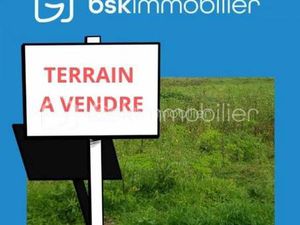 THIERRY TESTARD BSK IMMOBILIER