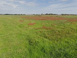 Vente terrain 900 m² à Castillon-de-Castets (33210)  47 500 €