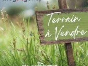 Vente Terrain à Saint-Simon-de-Bordes (17500) : à vendre / 681m² Saint-Simon-de-Bordes