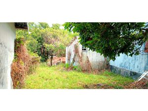 Terrain de 742 m2 à bâtir avec cabanon à réhabiliter ou à dé