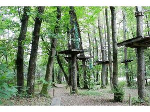LIMOGES - Parc de loisirs : activité Accrobranche sur 1 5 Hect