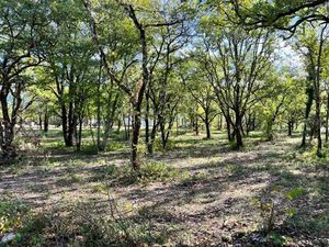 Vente terrain 1069 m² à Lalbenque (46230)  56 000 €