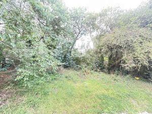 Vente Terrain au Hézo (56450) : à vendre / Le Hézo