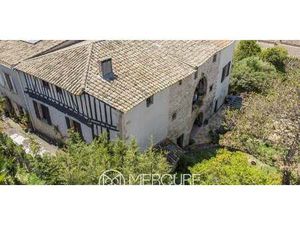 Propriété avec jardin Villasavary (11)