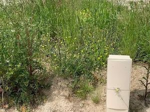 Vente terrain 628 m² à Saint-Michel-Chef-Chef (44730)  129 900 €