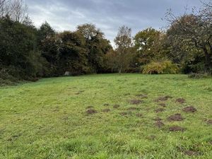 Terrain 1169 m² PLEMET