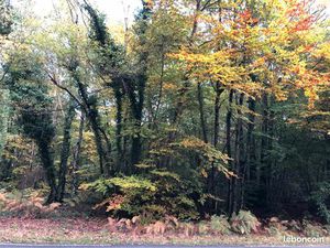 Parcelle de bois vendue 1 euro le m2