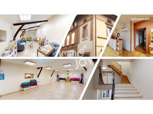 Immeuble 427 m² Carbonne