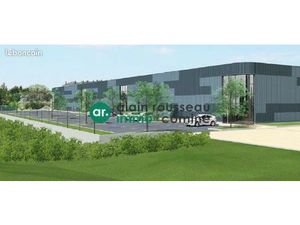 Local 1295 m² Trélazé