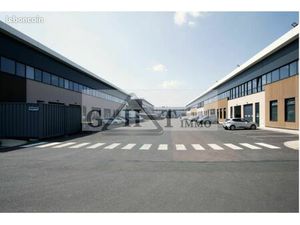 Local bureaux 797 m²