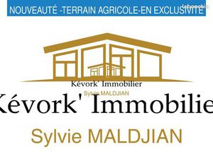Terrain 6590 m² CHATEAUNEUF SUR ISERE