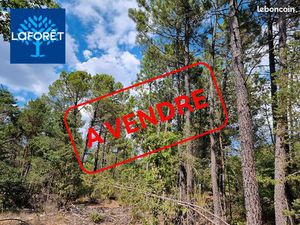 Terrain 11856 m² SAINT TRINIT