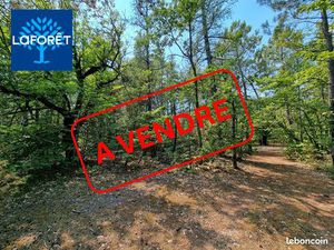 Terrain 20041 m² SAINT TRINIT