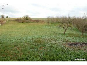 Terrain constructible