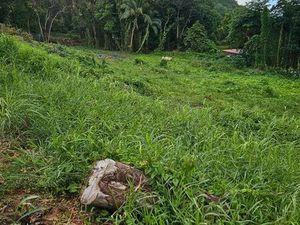 TERRAIN DE 2771 m² CONSTRUCTIBLE A VENDRE