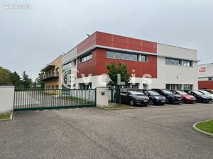 Local d'activité 493 m²