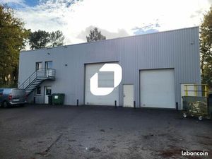 Local d'activité 561 m²