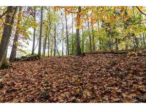 Terrain boisé à deux pas de LLN