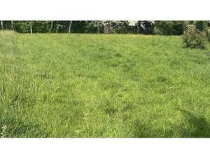 Vente Terrain à Plérin (22190) : à vendre / 943m² Plérin