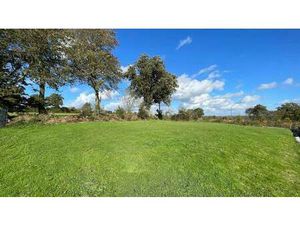 Terrain constructible viabilisé à vendre