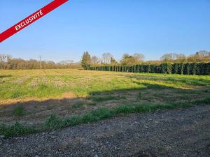 Terrain constructible viabilisé à vendre