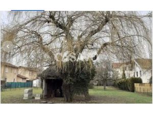 Vente maison à Amberieu-en-bugey (01500)  374 000 €