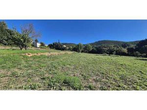 Terrain Le Pradet (83)