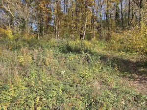 Vente terrain 1861 m² à Niederhaslach (67280)  79 000 €