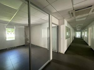 Location Local Professionnel 276m² MEYLAN 38240