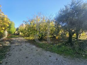 Achat Terrain 861m² CAROMB 84330