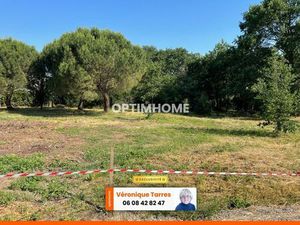 Vente terrain 901 m² Montaigut-sur-Save (31530)