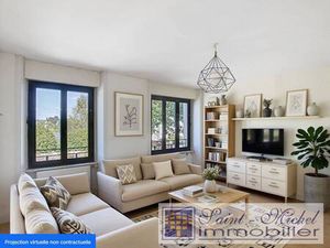 Saint Michel Immobilier