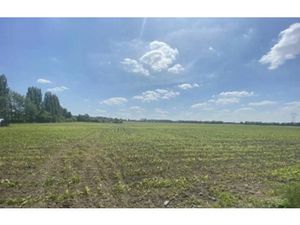 Vente terrain 555 m² à Phalempin (59133)  52 500 €