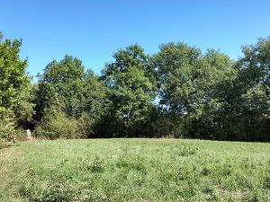 Joli terrain de 2800m2   sans vis à vis  20 min d'Auch