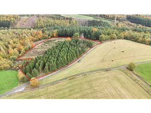 Belle parcelle de fond de bois de près de 2 Ha