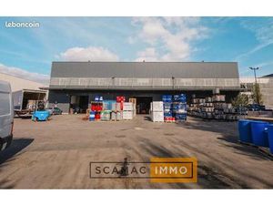 Local d'activité 1 156 m²