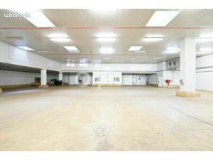 Local d'activité 2 448 m²