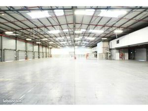 Local d'activité 4 992 m²