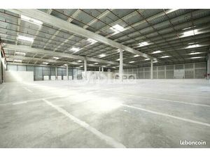 Local logistique 5 793 m²