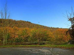 Terrain de 1 ha 68 sur les hauteurs de Marcourt