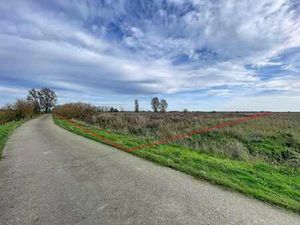 TERRAIN AGRICOLE (LIBRE)