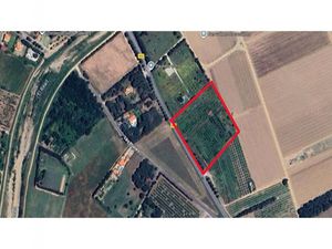 Vente terrain 17117 m² à Saleilles (66280)  68 000 €