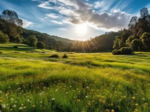 Vente terrain 2000 m² à Donzenac (19270)  50 000 €